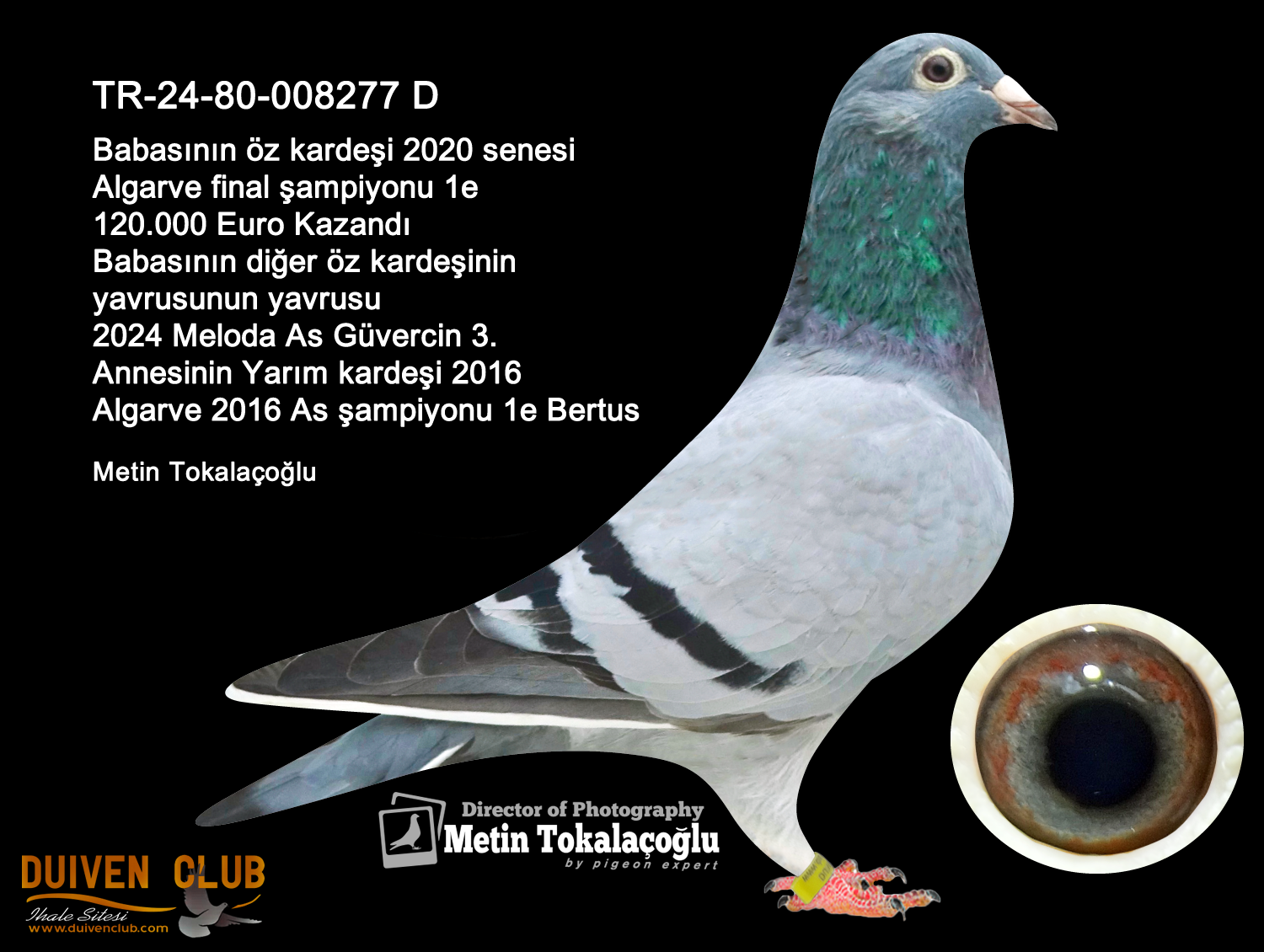 TR 24-80-8398 E